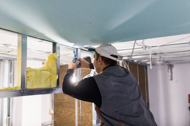Best Spray Foam Insulation in Goose Creek, SC