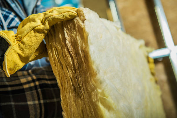 Best Geographic-Specific Insulation Services in Goose Creek, SC