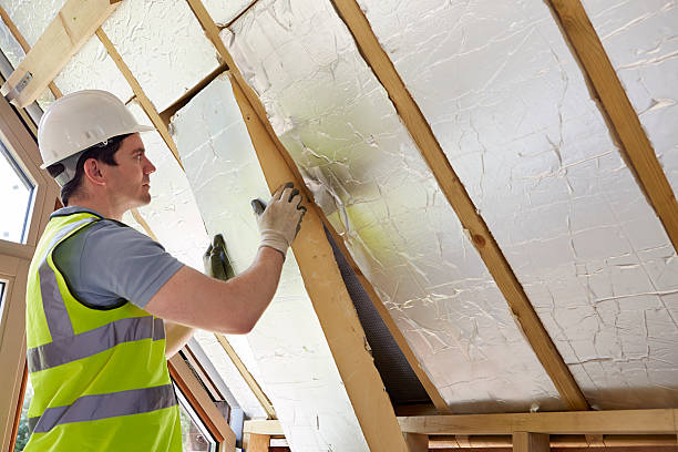 Best Eco-Friendly Insulation in Goose Creek, SC